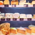 12782098_10207829778676475_1933352409_n